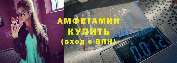 сатива Бородино