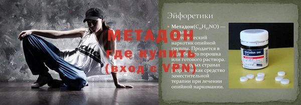 сатива Бородино