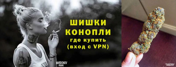 молекула духа Бронницы