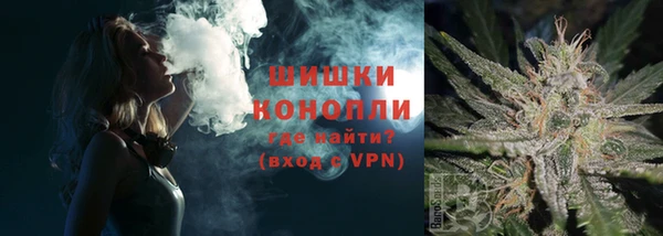 сатива Бородино