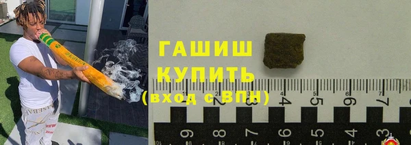 сатива Бородино