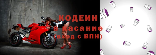 молекула духа Бронницы