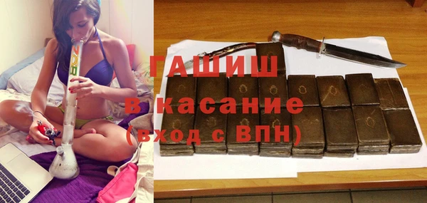 сатива Бородино