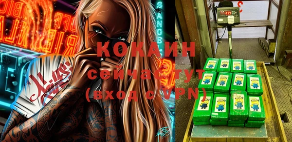сатива Бородино
