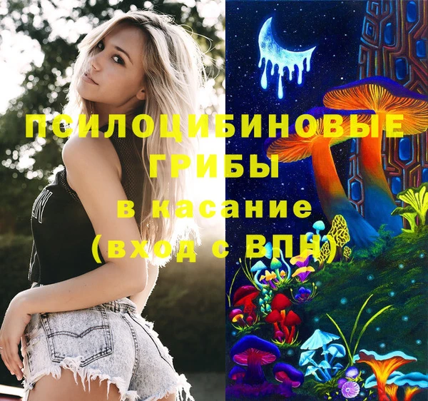 молекула духа Бронницы
