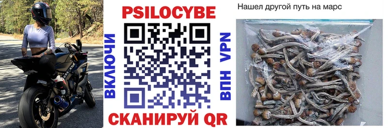mega вход  купить наркотик  Юрюзань  Галлюциногенные грибы Magic Shrooms 